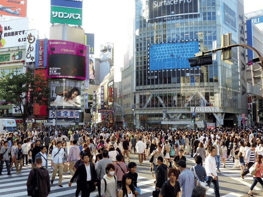 Tokyo City: Customize Day Tour English Speaking Chauffer - The car, the comfort, and the included extras that save your day