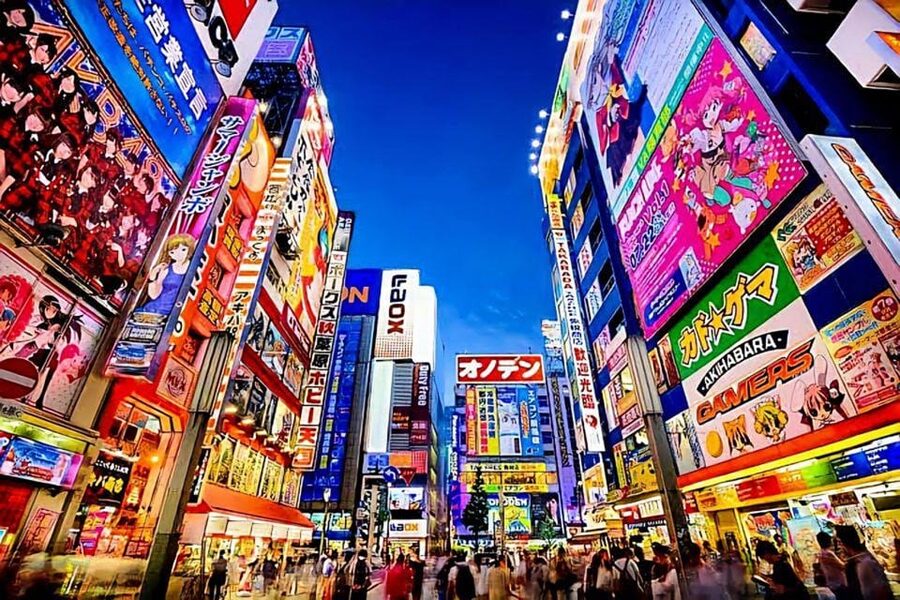 Tokyo: City Tour Tokyo With Driver - How the “customizable” part actually helps you