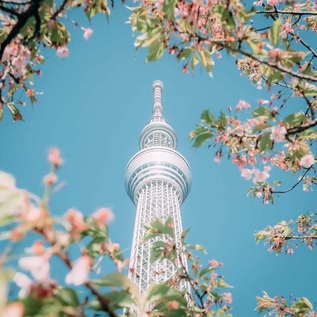 Tokyo: City Tour Tokyo With Driver - Imperial Palace area: a calm reset in the middle of the day