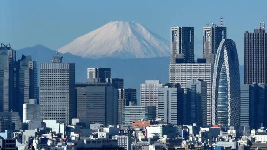 Tokyo: Customizable Private Guided Walking Tour - Subway Confidence and Staying With Your Guide
