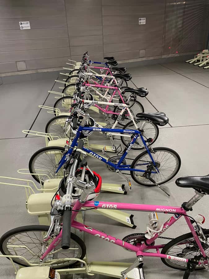 Tokyo: Discover Traditional Tokyo Full-Day Bicycle Tour - Guides make or break a bike tour, and this one leans on that strength