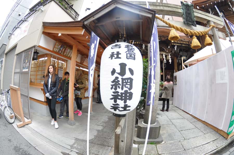 Tokyo: Discover Traditional Tokyo Full-Day Bicycle Tour - Who should book this Tokyo full-day bicycle tour, and who should skip it