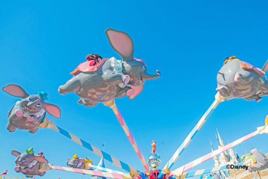 Tokyo Disneyland 1-Day Passport - Key points to know before you go