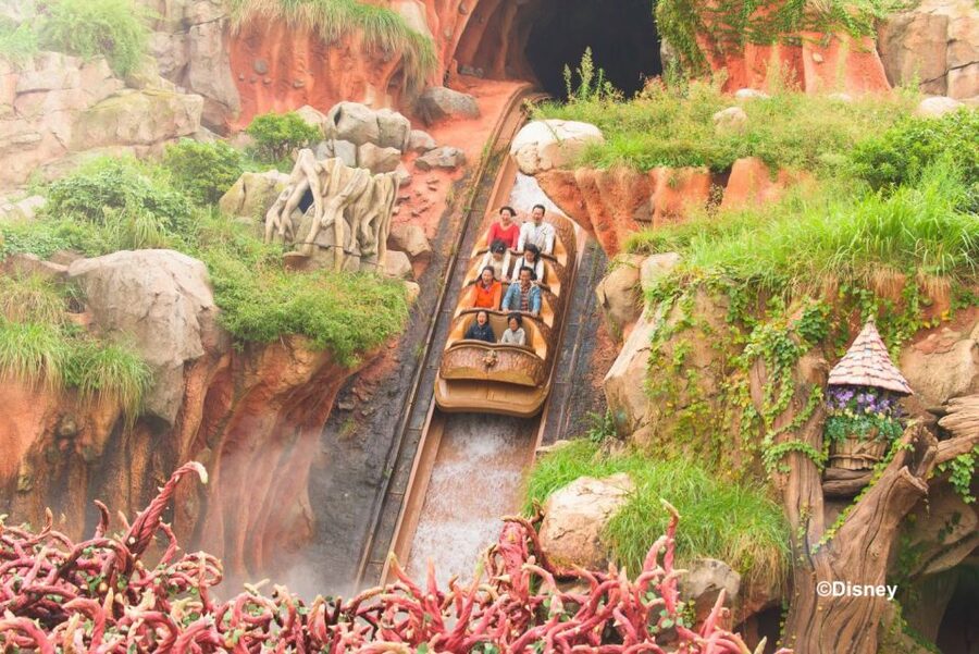 Tokyo Disneyland 1-Day Passport - Who should book this 1-day passport, and who might want something else