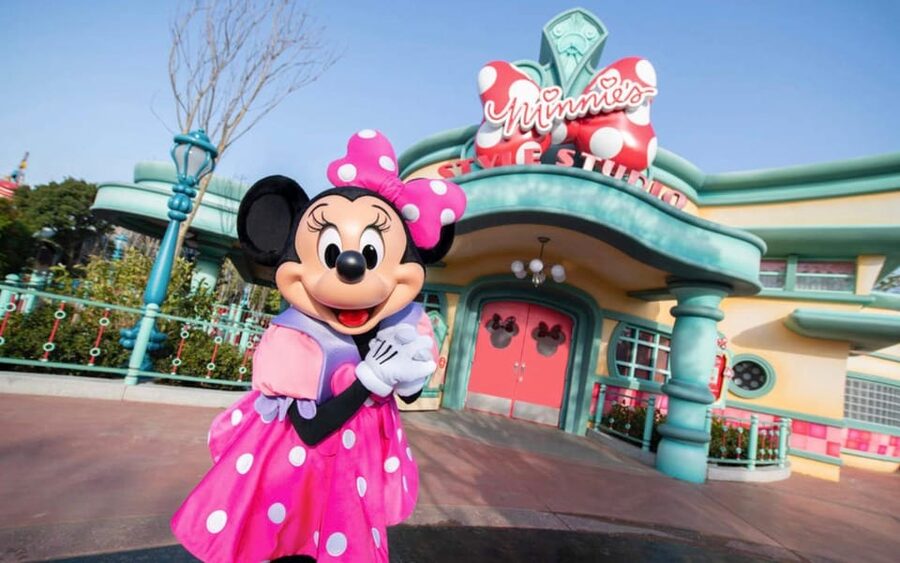 Tokyo DisneySea: 1-Day Ticket & Private Transfer - Getting your QR code ticket right, and who it is for