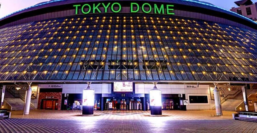 Tokyo Dome: Yomiuri Giants Baseball Game Ticket with Towel - Price and value: is $155 fair for what you get?