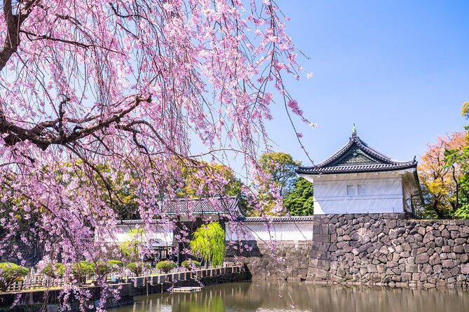 Tokyo: Edo Castle & East Garden of the Imperial Palace Tour - Key things I’d mark on your mental map