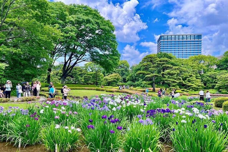 Tokyo: Edo Castle & East Garden of the Imperial Palace Tour - Who should book this, and who might feel disappointed