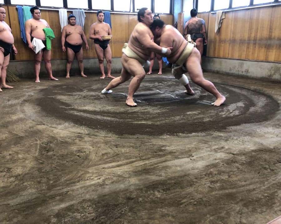 Tokyo: Exclusive Access to Sumo Morning Practice with Photos - Why a sumo stable visit beats stadium seats
