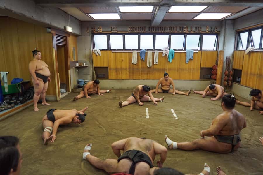 Tokyo: Exclusive Access to Sumo Morning Practice with Photos - Comfort and etiquette: tatami seating, no restrooms, stable rules