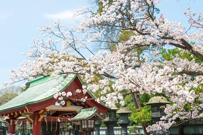 Tokyo: Food Tour in Ueno with 10+ Tastings of Japanese Classics - Ueno Food in 3.5 Hours, and why this neighborhood makes sense