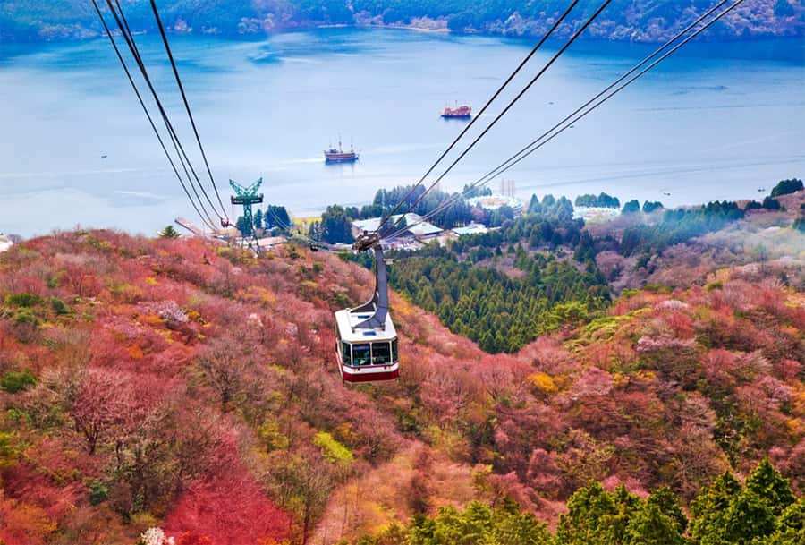 Tokyo: Fuji Cable Car Tour (Ticket Inc.) – Kawaguchiko Views - Oshino Hakkai: The Eight Ponds and Why It Feels Like Another World