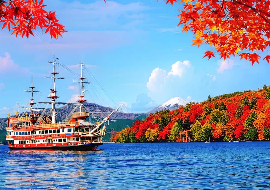 Tokyo: Fuji Cable Car Tour (Ticket Inc.) – Kawaguchiko Views - Lake Yamanaka Swan Feeding: A Quiet Nature Pause