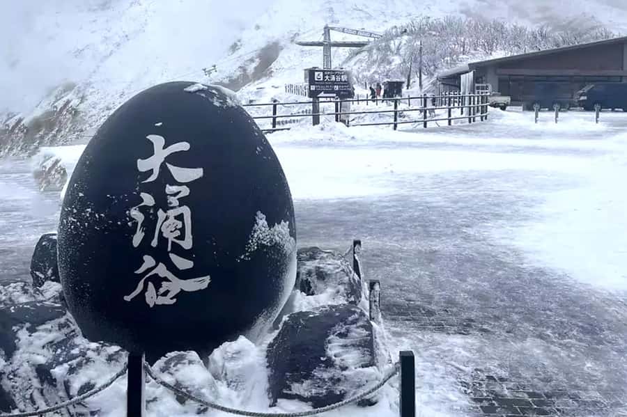 Tokyo: Fuji Cable Car Tour (Ticket Inc.) – Kawaguchiko Views - Tips That Actually Help on Fuji Days