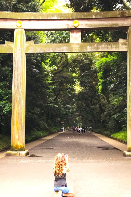 Tokyo: Full Course Tour: Explore 10 Must-Sees & Hidden Gems - Imperial Palace grounds and Marunouchi’s old meets new feel