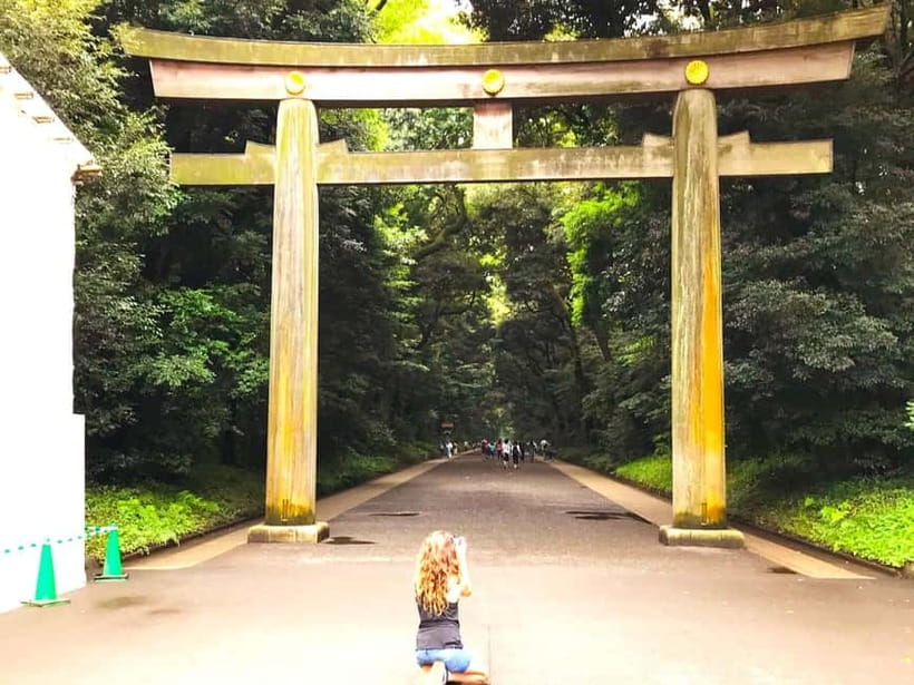 Tokyo: Full Course Tour: Explore 15 Must-Sees & Hidden Gems - Entering Tokyo’s day plan with fewer headaches