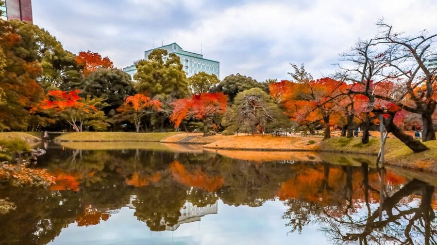 Tokyo: Full-Day Japanese Garden Private Guided Tour - Key points to know before you go