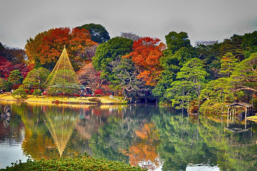 Tokyo: Full-Day Japanese Garden Private Guided Tour - Why this private Tokyo garden tour works so well