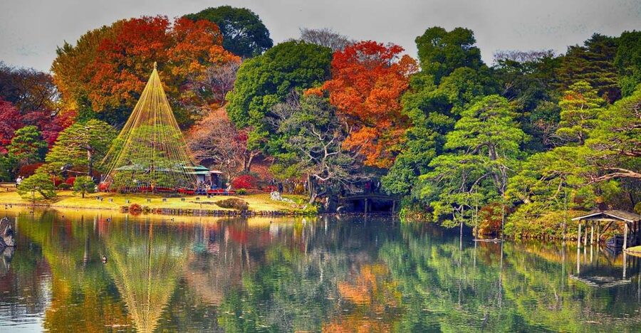 Tokyo: Full-Day Japanese Garden Private Guided Tour - Meiji-Jingu Shrine and a quiet teahouse moment