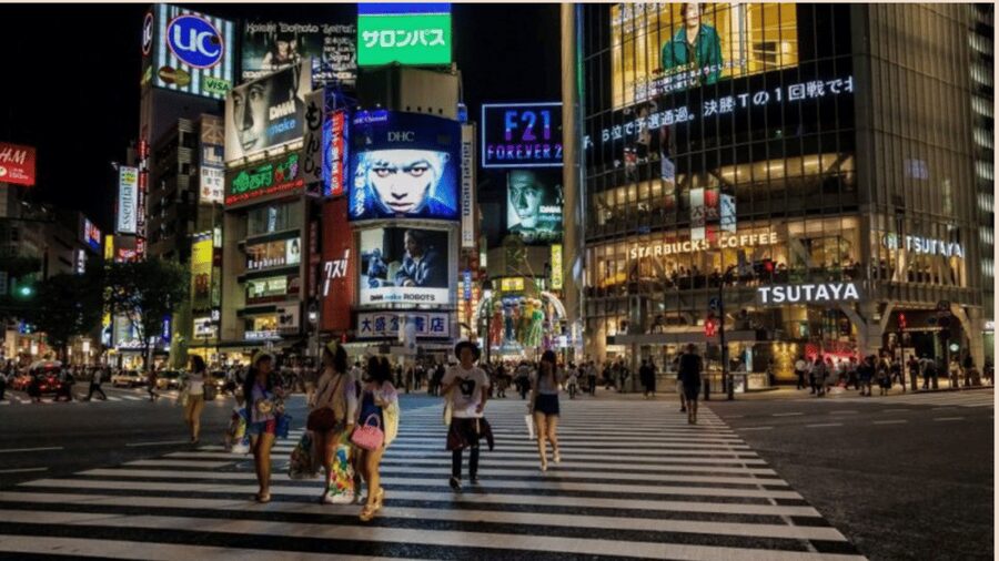 Tokyo full day private tour with Guide - What this tour is best for