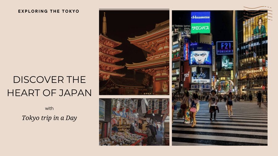Tokyo full day private tour with Guide - Meiji Shrine and the Imperial grounds: quiet contrast in the middle of the city