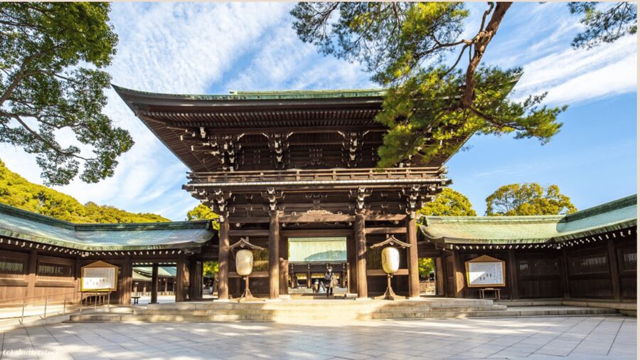 Tokyo full day private tour with Guide - Price and logistics: what $329 buys you, and what to verify