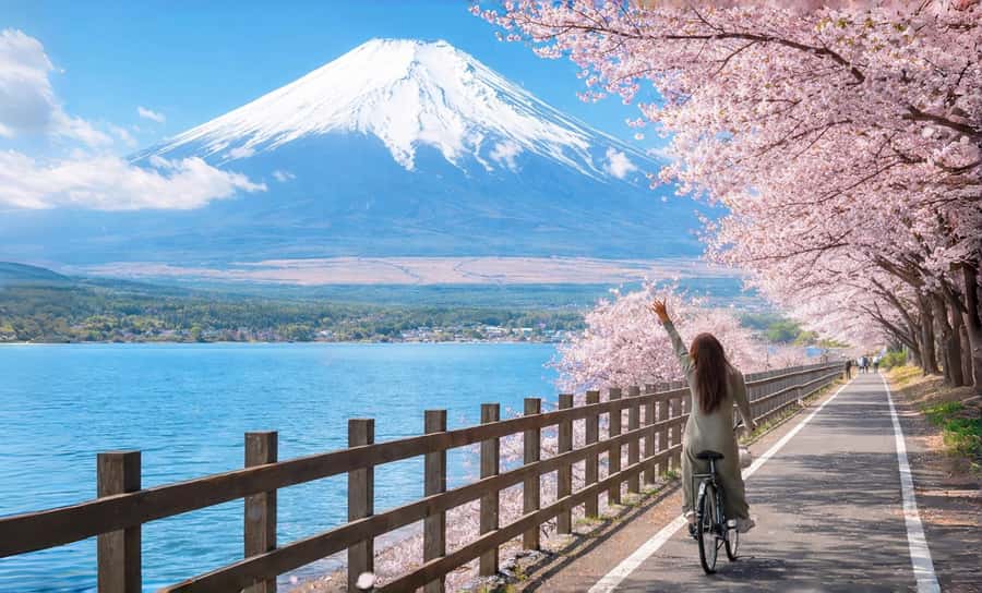 Tokyo: Full-Day Tour of the Six Majestic Spots of Mt Fuji - Key highlights worth getting up for