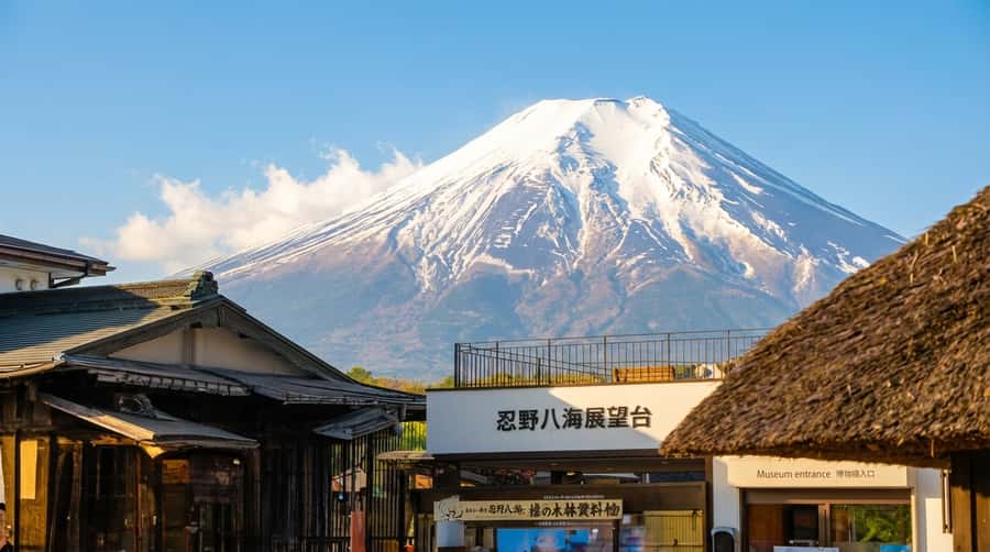 Tokyo: Full-Day Tour of the Six Majestic Spots of Mt Fuji - A fast Mt Fuji reset from Tokyo