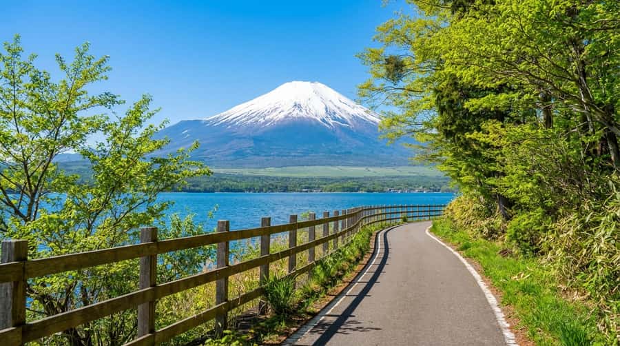 Tokyo: Full-Day Tour of the Six Majestic Spots of Mt Fuji - Higashikawa Clock Shop and the Lawson selfie-window moment