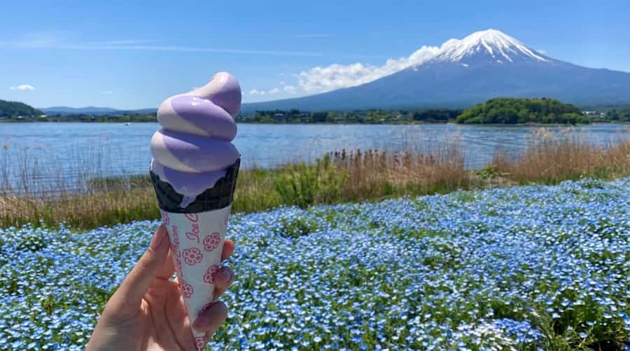 Tokyo: Full-Day Tour of the Six Majestic Spots of Mt Fuji - Arakurayama Sengen Park, pagoda frames with cherry blossoms or autumn color
