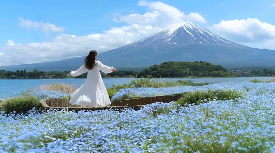 Tokyo: Full-Day Tour of the Six Majestic Spots of Mt Fuji - Comfort on the bus, and how to handle timing reality