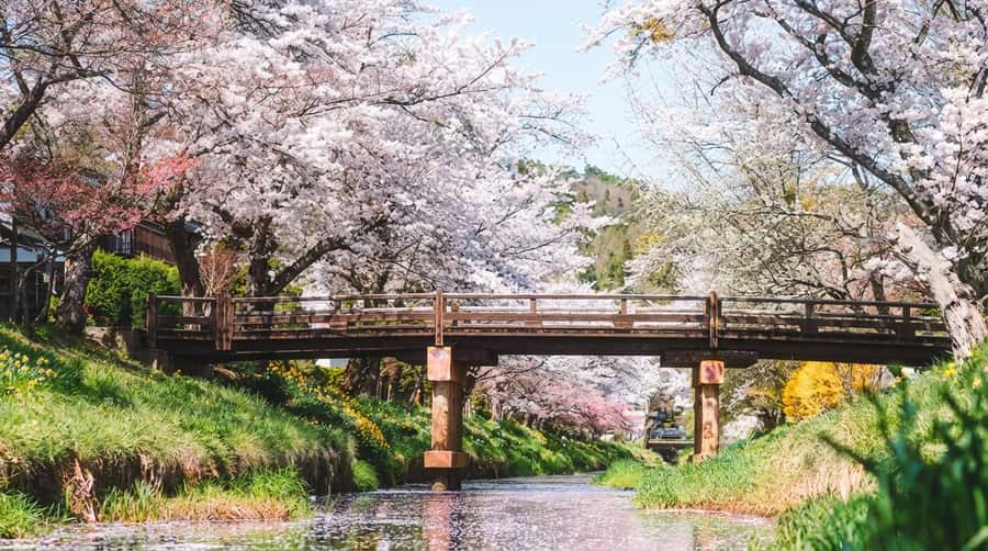 Tokyo: Full-Day Tour of the Six Majestic Spots of Mt Fuji - Guides who make the day feel smooth (and the small hiccups)