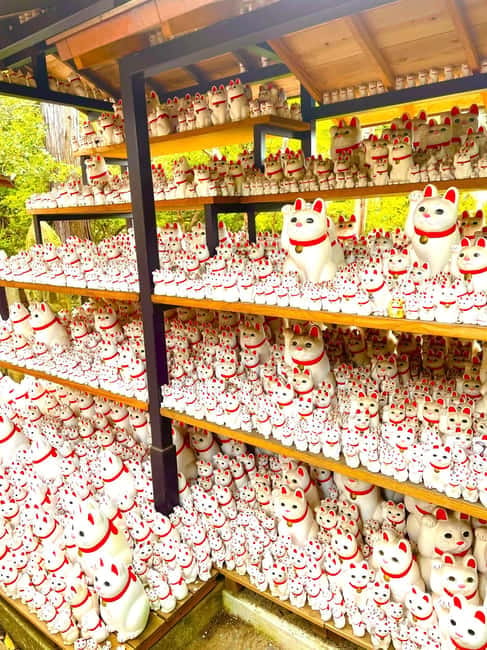Tokyo: Gotokuji Cat Temple, Shinjuku Cat Cafe & 3D Cat Tour - Shinjuku Giant 3D Cat: the easiest first win