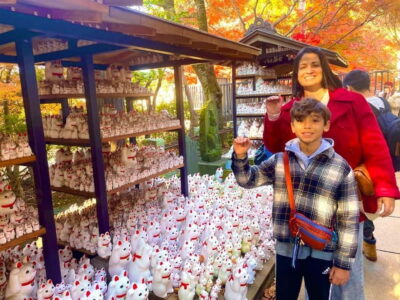 Gotokuji Cat Temple, Shinjuku Cat Cafe & 3D Cat Tour