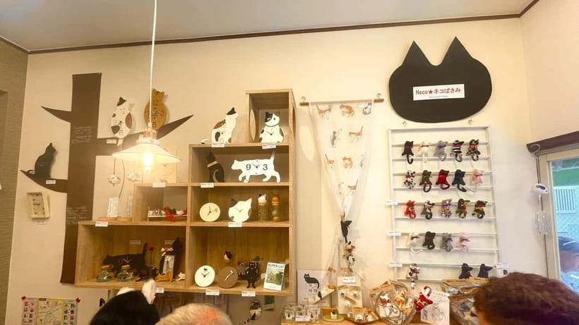 Tokyo: Gotokuji Cat Temple, Shinjuku Cat Cafe & 3D Cat Tour - Why the guide matters here, and names you will hear