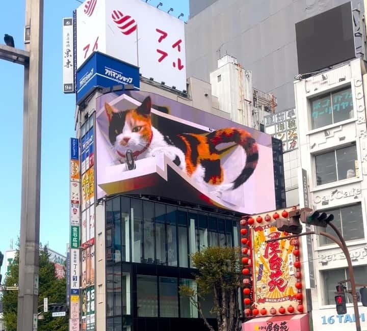 Tokyo: Gotokuji Cat Temple, Shinjuku Cat Cafe & 3D Cat Tour - Is $56 for 150 minutes good value for Tokyo cat fans?