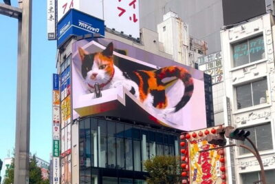 Gotokuji Lucky Cat Temple, Shinjuku Cat Cafe, 3D Giant Cat