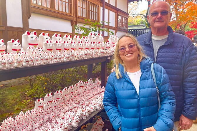 Tokyo: Gotokuji Lucky Cat Temple, Shinjuku Cat Cafe, 3D Giant Cat - Who This Tour Fits Best (and Who Should Skip)