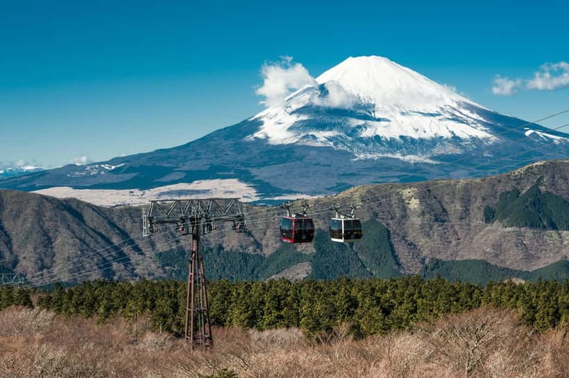 Tokyo: Hakone Fuji Day Tour w/ Cruise, Cable Car, Volcano - Who should book this Hakone Fuji day tour, and who should skip