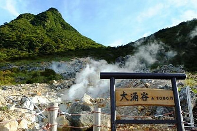 Tokyo: Hakone Fuji Day Tour w/ Cruise, Cable Car, Volcano - Owakudani Great Boiling Valley: volcanic steam, sulfur air, and black eggs