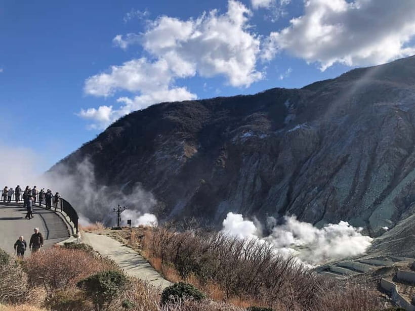 Tokyo: Hakone Fuji Day Tour w/ Cruise, Cable Car, Volcano - Weather, Fuji visibility, and why timing matters more than you think