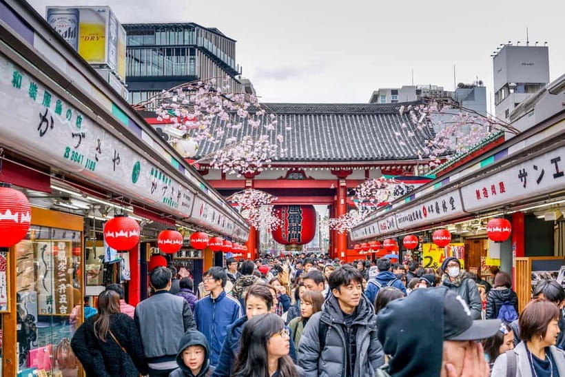 Tokyo: Half-Day Morning Small Group Tour - Nijubashi Bridge: The View Stop You’ll Be Glad the Guide Timed