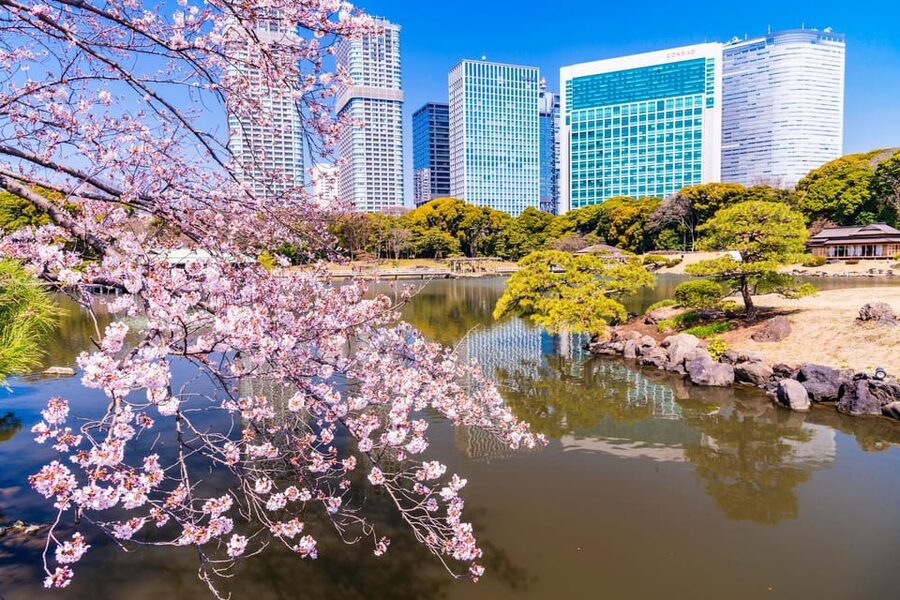 Tokyo: Hama-rikyu Gardens tour with Japanese Tea & Sweets - Key highlights you will actually feel
