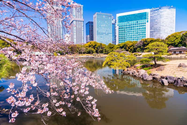 Tokyo: Hama-rikyu Gardens tour with Japanese Tea & Sweets - Who should book this Hama-rikyū tea and garden tour