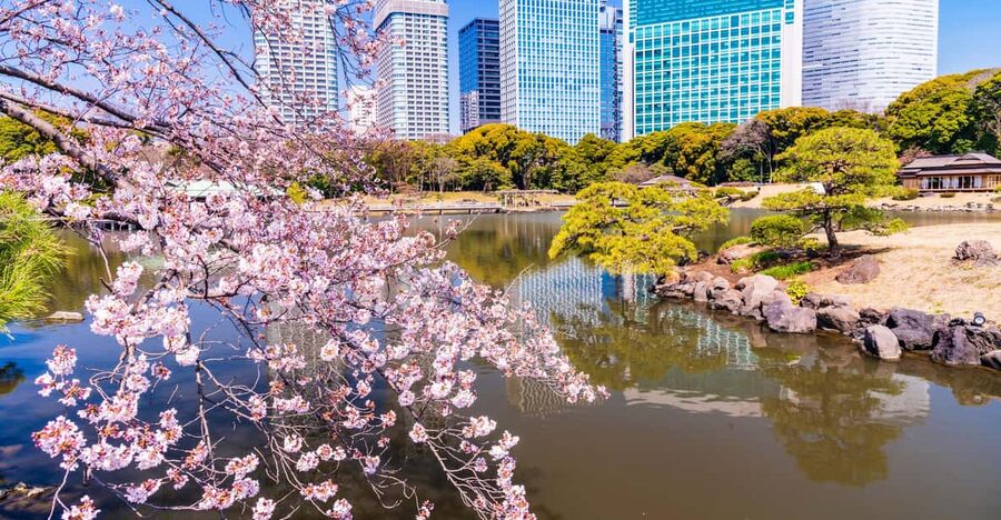 Tokyo: Hama-rikyu Gardens tour with Japanese Tea & Sweets - Is $85 worth it? Small group, guide time, and tea