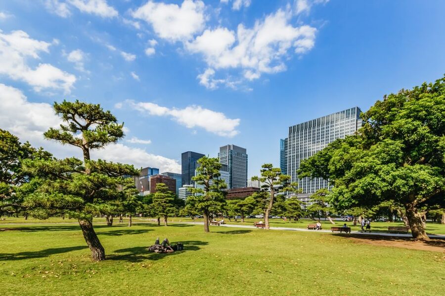Tokyo: Hop-On Hop-Off Sightseeing Bus Ticket - Route 3: Shinjuku and Shibuya Energy, Plus Harajuku and Meiji Jingu