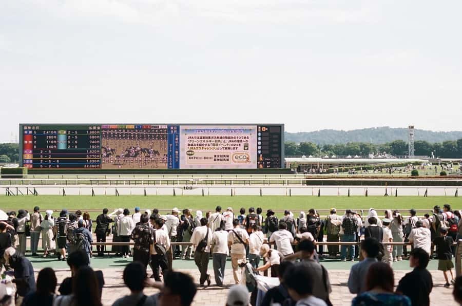Tokyo: Horse Racing Tour with Local Fan - Key moments that make this tour worth your time