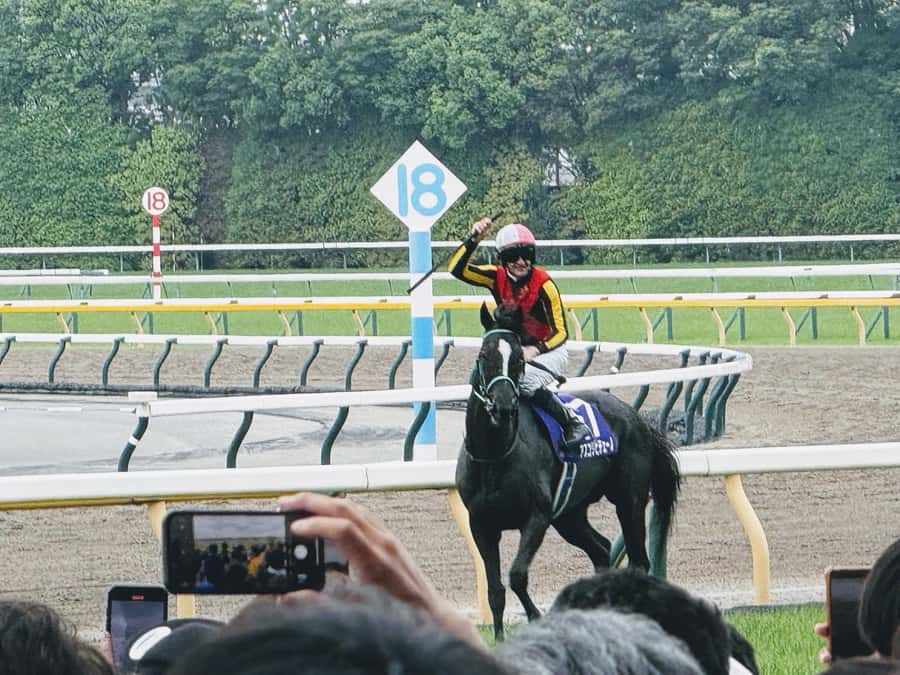 Tokyo: Horse Racing Tour with Local Fan - Why a Tokyo horse racing day beats the usual sightseeing plan