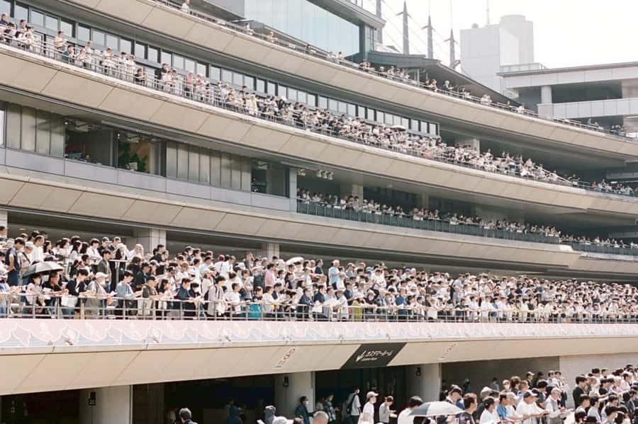Tokyo: Horse Racing Tour with Local Fan - Who should book this tour, and who might not love it