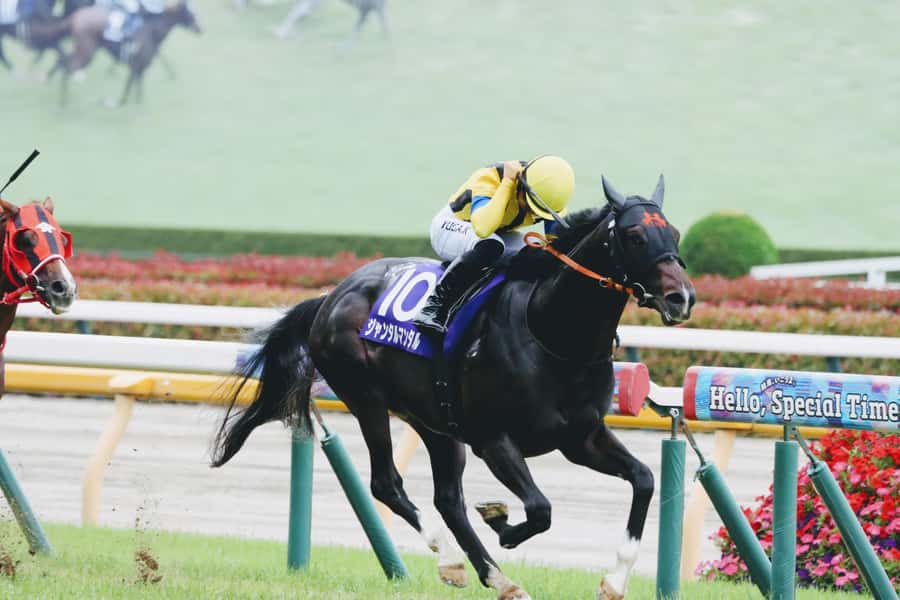 Tokyo: Horse Racing Tour with Local Fan - Meeting your guide, getting your reserved seat, and avoiding ticketing stress